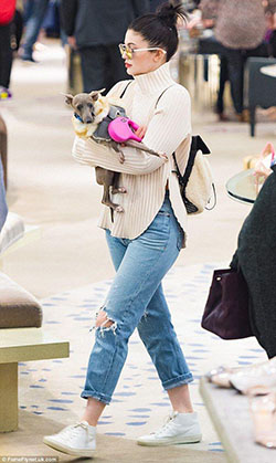Trajes de Kylie Jenner: Kylie Jenner y su séquito se van de compras con sus perritos mimados...: 