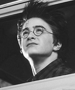 Harry Potter y la cámara de los secretos. La cicatriz de Harry significa su pelea con Voldemort. le recuerda a Harry lo que hizo...: harry potter,  Hermione Granger,  harry portero,  harry potter,  Daniel Radcliffe,  señor voldemort,  Helga Hufflepuff  