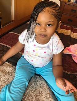 Black Girl Cabello negro, Trenzas de caja: Cabello con textura afro,  Pelo castaño,  Peinado Para Niñas  