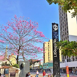 Ju Santos Instagram, área metropolitana, arquitectura, área urbana: Insta Belleza  