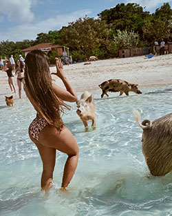 Aylen Alvarez bikini estilo a juego, disfrutando de la vida, Chica de pelo largo: Pelo largo,  chicas de instagram  