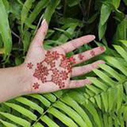 Diseño de henna floral fácil de bricolaje para manos: 