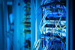 Cableado de Internet Auckland: 