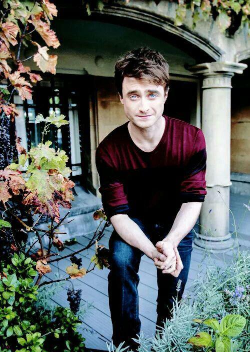 Colina de un árbol. Daniel Radcliffe Harry Potter: harry potter,  Hermione Granger,  Diseño floral,  harry portero,  harry potter,  Daniel Radcliffe,  tom Felton  