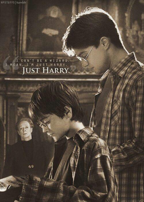 Colegio de magia y hechicería Hogwarts. harry potter:: harry potter,  Hermione Granger,  harry portero,  harry potter,  james potter  