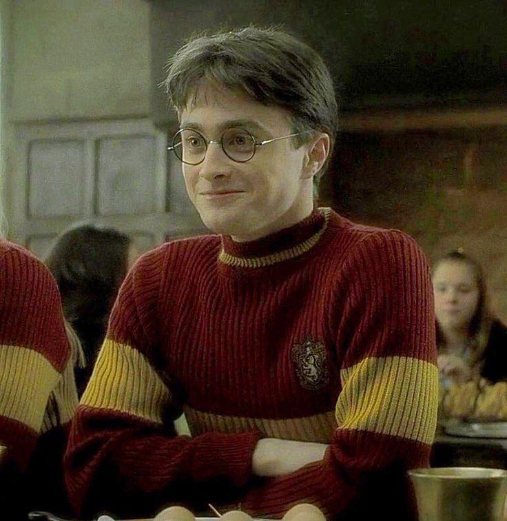 James Sirius Potter. Harry Potter (Daniel Radcliffe / Harry Potter): harry potter,  Hermione Granger,  harry portero,  harry potter  