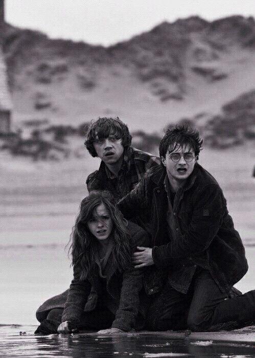 Harry Potter y las Reliquias de la Muerte. Harry Potter me encanta esta foto. Describe cómo Harry está tan asustado que Hermione...: harry potter,  emma watson,  Hermione Granger,  harry portero,  harry potter,  Rupert Grint,  Ron Weasley,  Draco Malfoy,  ginny weasley  