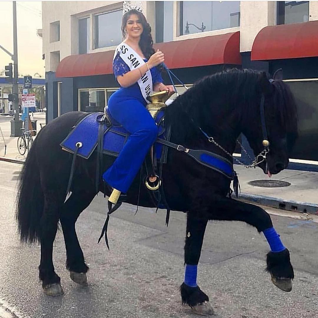 Modelo Graciela Montes, Arnés para caballos, Equitación western: Huella animal  