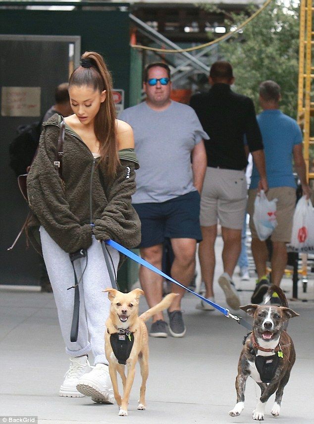 Ariana grande paseando al perro: Ariana Grande,  Los atuendos de Ariana Grande  