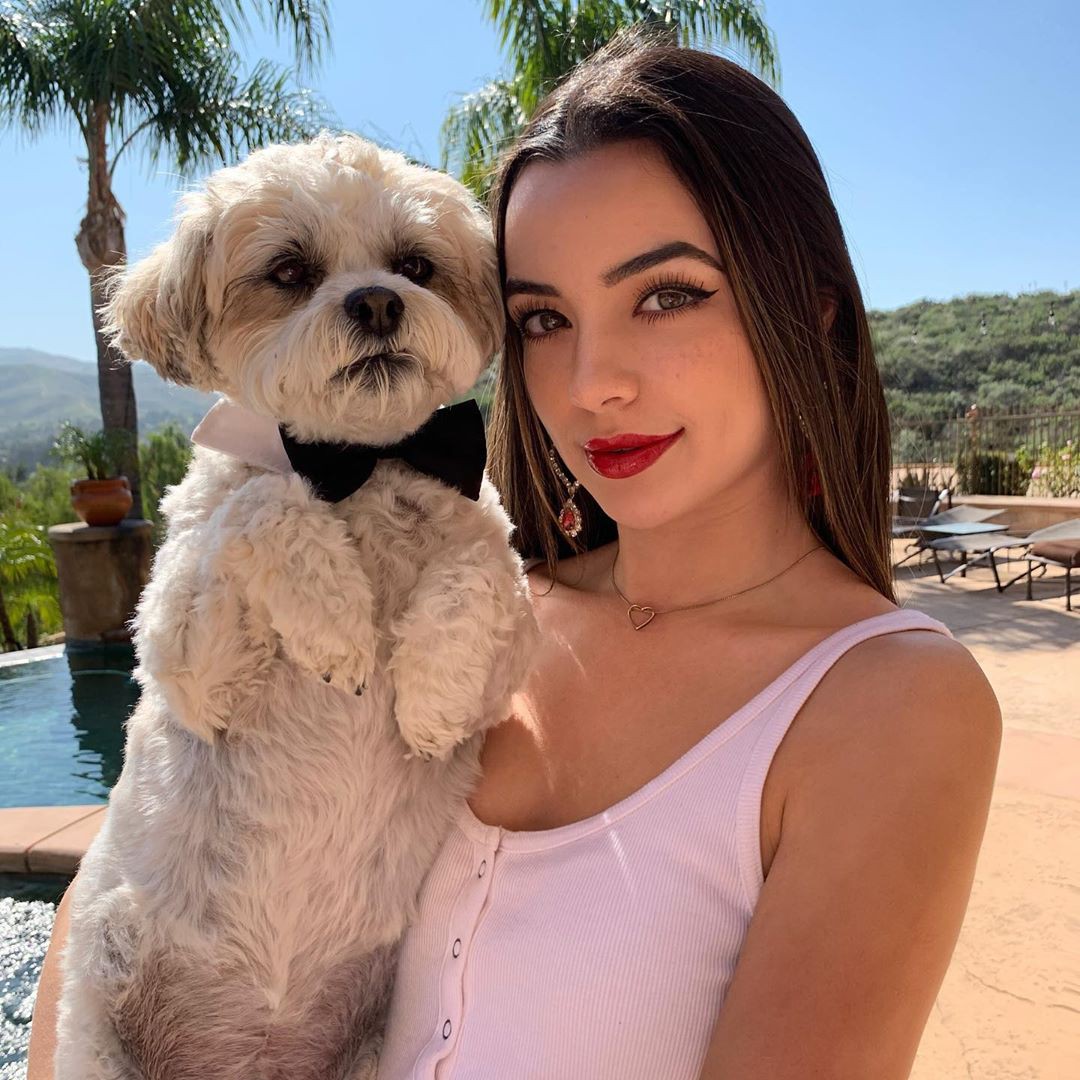 Vanessa Merrell, perro de compañía, interacción, amor de cachorro: Raza canina,  Amor de cachorros,  La estrella de TikTok Vanessa Merrell,  Instagram de vanessa merrell  