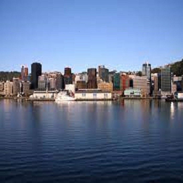 Buscando un abogado de testamentos en Wellington: 