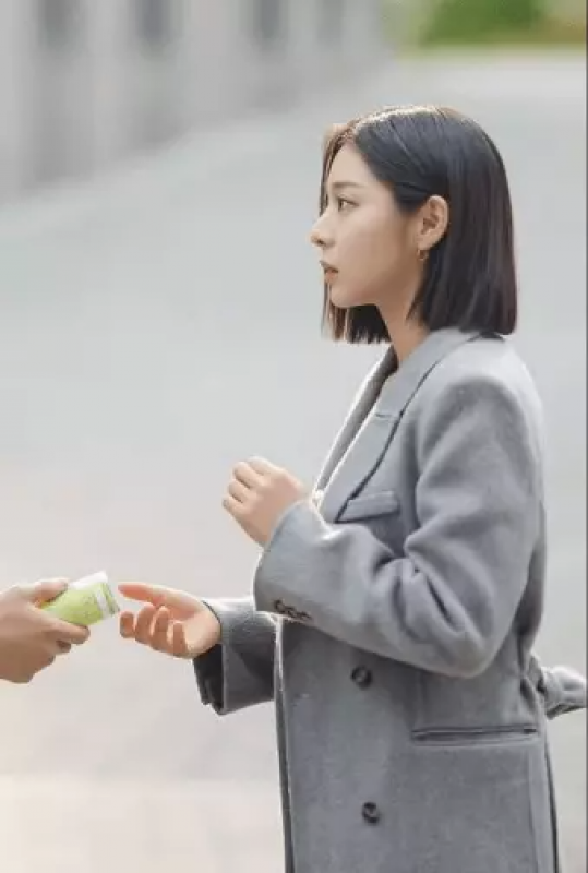 Una propuesta de negocio Seol In-ah Grey Coat: 